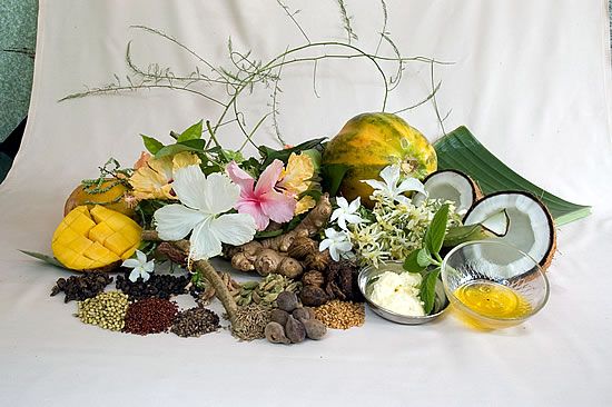 ayurvedic herbs  used to cure osteo arthritis