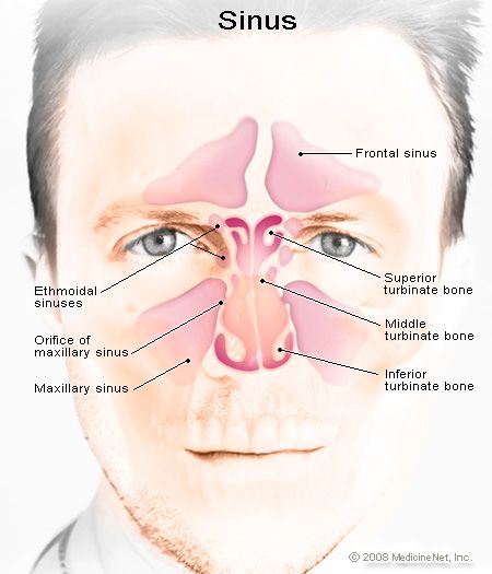 mouth breathing and snoring