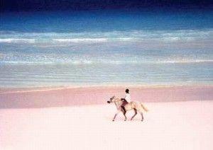 pink-sands-beach-image