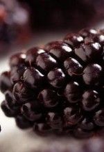 health benefits od blackberries health benefits od blackberries