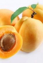 Apricot