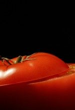 tomatoes for healthy skin
