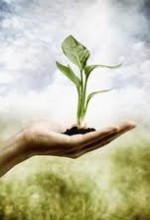 Naturopathy