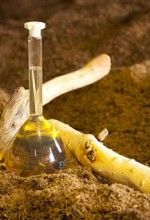 Sandalwood benefits