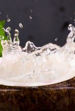 health benefits of coconut water