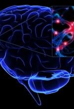 Epilepsy or seizures causes and symptoms