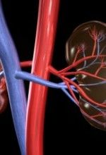 Kidney health tips