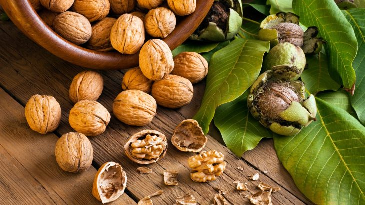 Walnuts for Tuberculosis